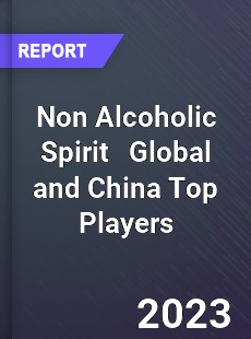 Non Alcoholic Spirit Global and China Top Players Market