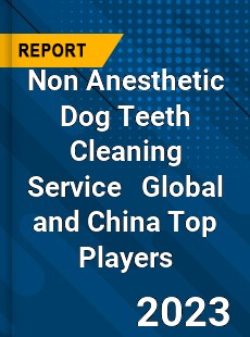 Non Anesthetic Dog Teeth Cleaning Service Global and China Top Players Market