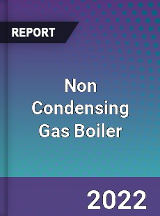 Non Condensing Gas Boiler Market