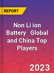 Non Li ion Battery Global and China Top Players Market