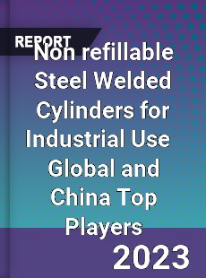 Non refillable Steel Welded Cylinders for Industrial Use Global and China Top Players Market