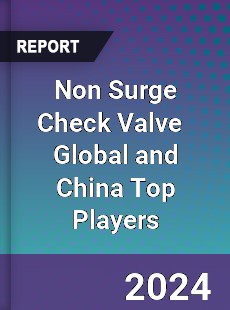 Non Surge Check Valve Global and China Top Players Market