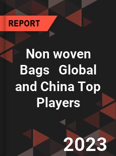 Non woven Bags Global and China Top Players Market