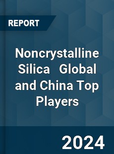 Noncrystalline Silica Global and China Top Players Market