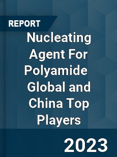 Nucleating Agent For Polyamide Global and China Top Players Market