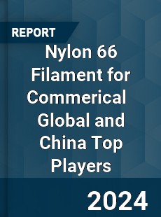 Nylon 66 Filament for Commerical Global and China Top Players Market