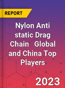 Nylon Anti static Drag Chain Global and China Top Players Market