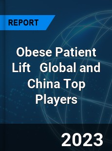 Obese Patient Lift Global and China Top Players Market