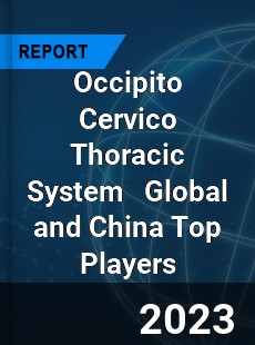 Occipito Cervico Thoracic System Global and China Top Players Market