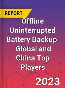 Offline Uninterrupted Battery Backup Global and China Top Players Market