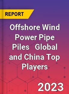 Offshore Wind Power Pipe Piles Global and China Top Players Market