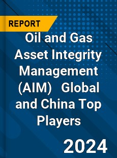 Oil and Gas Asset Integrity Management Global and China Top Players Market