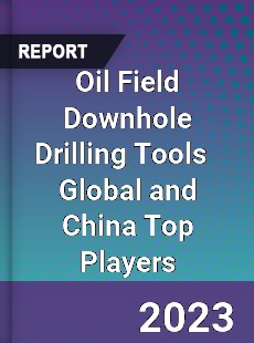 Oil Field Downhole Drilling Tools Global and China Top Players Market