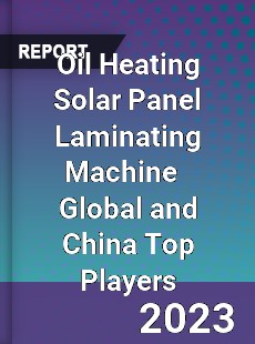 Oil Heating Solar Panel Laminating Machine Global and China Top Players Market