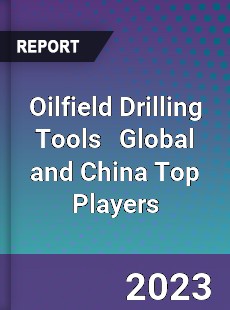 Oilfield Drilling Tools Global and China Top Players Market