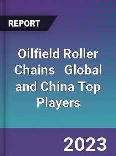 Oilfield Roller Chains Global and China Top Players Market