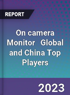 On camera Monitor Global and China Top Players Market