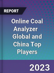 Online Coal Analyzer Global and China Top Players Market