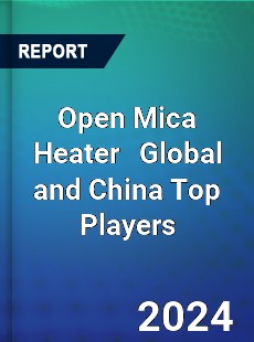 Open Mica Heater Global and China Top Players Market