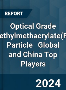 Optical Grade Polymethylmethacrylate Particle Global and China Top Players Market