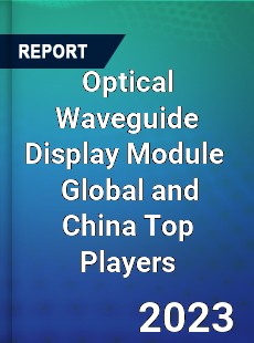 Optical Waveguide Display Module Global and China Top Players Market