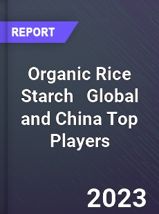 Organic Rice Starch Global and China Top Players Market