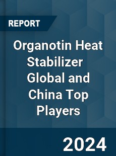 Organotin Heat Stabilizer Global and China Top Players Market