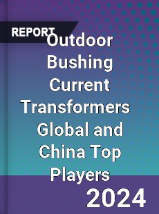 Outdoor Bushing Current Transformers Global and China Top Players Market