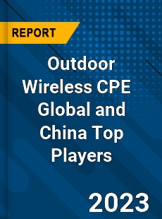 Outdoor Wireless CPE Global and China Top Players Market