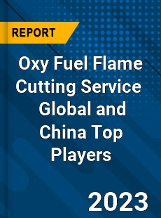 Oxy Fuel Flame Cutting Service Global and China Top Players Market