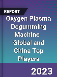 Oxygen Plasma Degumming Machine Global and China Top Players Market