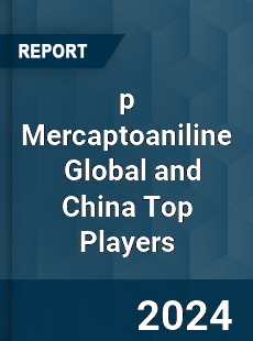 p Mercaptoaniline Global and China Top Players Market