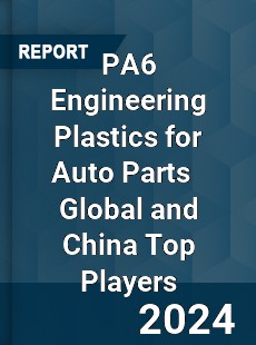 PA6 Engineering Plastics for Auto Parts Global and China Top Players Market