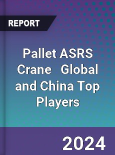 Pallet ASRS Crane Global and China Top Players Market