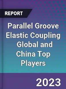 Parallel Groove Elastic Coupling Global and China Top Players Market
