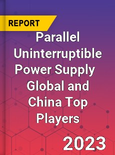 Parallel Uninterruptible Power Supply Global and China Top Players Market