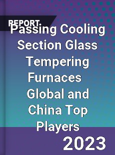 Passing Cooling Section Glass Tempering Furnaces Global and China Top Players Market