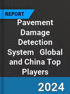 Pavement Damage Detection System Global and China Top Players Market