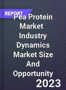 Pea Protein Market Industry Dynamics Market Size And Opportunity