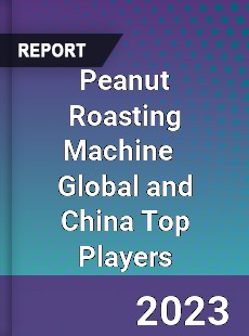 Peanut Roasting Machine Global and China Top Players Market