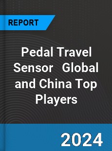 Pedal Travel Sensor Global and China Top Players Market