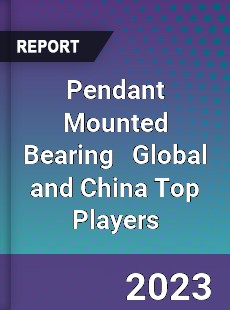 Pendant Mounted Bearing Global and China Top Players Market