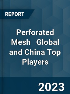 Perforated Mesh Global and China Top Players Market