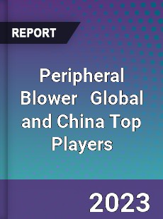 Peripheral Blower Global and China Top Players Market