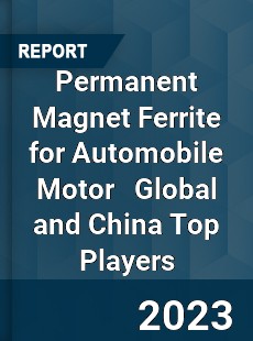 Permanent Magnet Ferrite for Automobile Motor Global and China Top Players Market