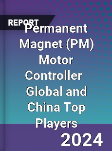 Permanent Magnet Motor Controller Global and China Top Players Market