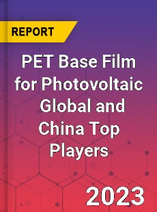 PET Base Film for Photovoltaic Global and China Top Players Market