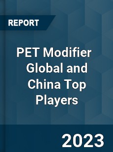 PET Modifier Global and China Top Players Market