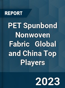 PET Spunbond Nonwoven Fabric Global and China Top Players Market