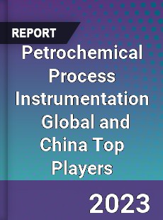 Petrochemical Process Instrumentation Global and China Top Players Market